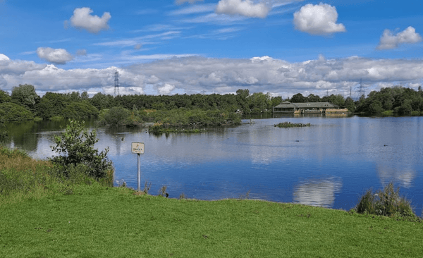 10 Best Dog Swimming Spots in Glasgow - Calmshops.co.uk