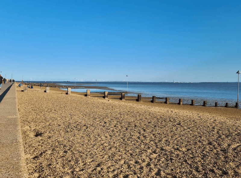 5 Best Dog Swimming Spots in Essex - Calmshops.co.uk