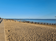 5 Best Dog Swimming Spots in Essex