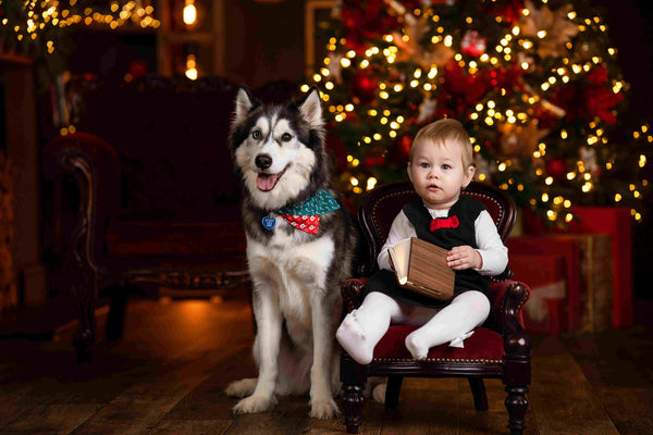 christmas photoshoot