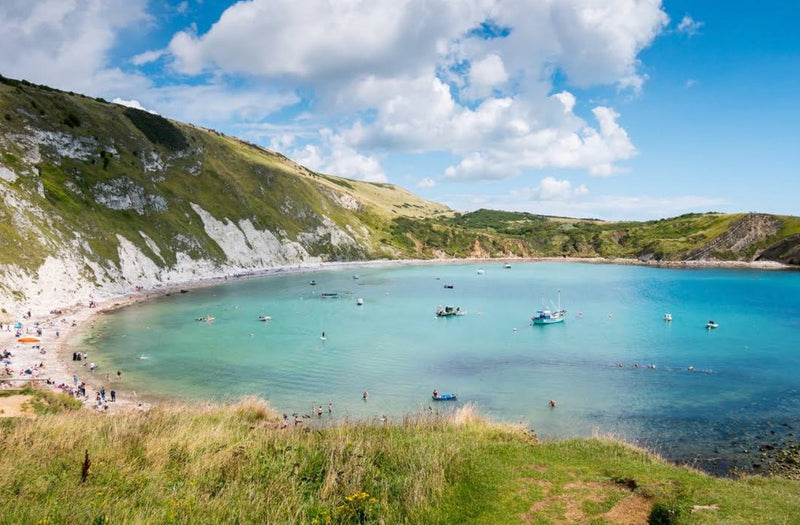 Best Dog Swimming Spots in Dorset: Top 5 Places for a Refreshing Dip with Your Dog - Calmshops.co.uk