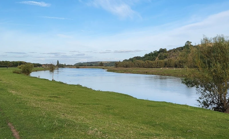 Best Dog Swimming Spots in Nottinghamshire: Top 5 Refreshing Locations for Your Water-Loving Pup - Calmshops.co.uk