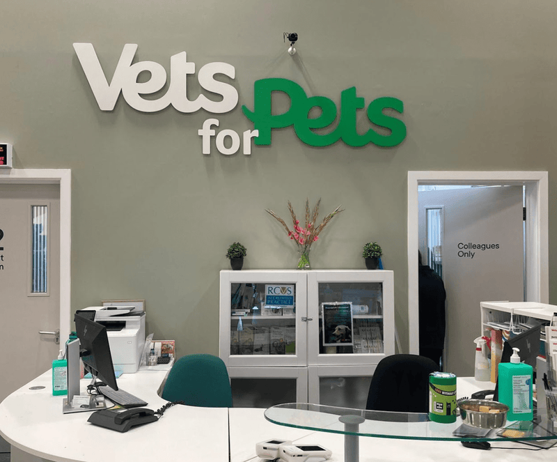 Best Vets in Edinburgh: Trusted Care for Your Pets - Calmshops.co.uk