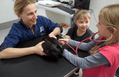 Best Vets in Herefordshire: Exceptional Care for Your Pets