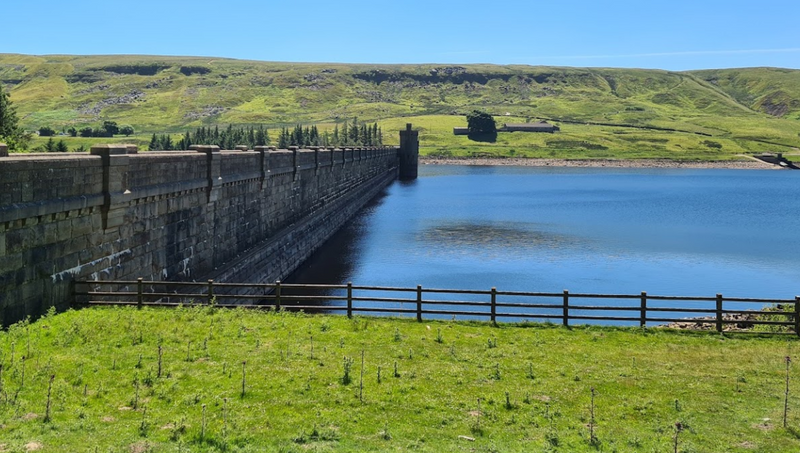 dog friendly swimming spots Yorkshire