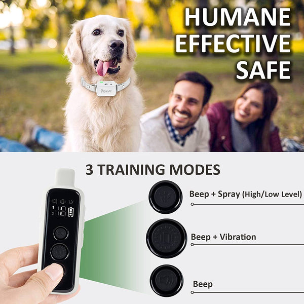 Comprehensive Guide to CalmShops Dog Training Collars: Effective Tools for Canine Training - Calmshops.co.uk