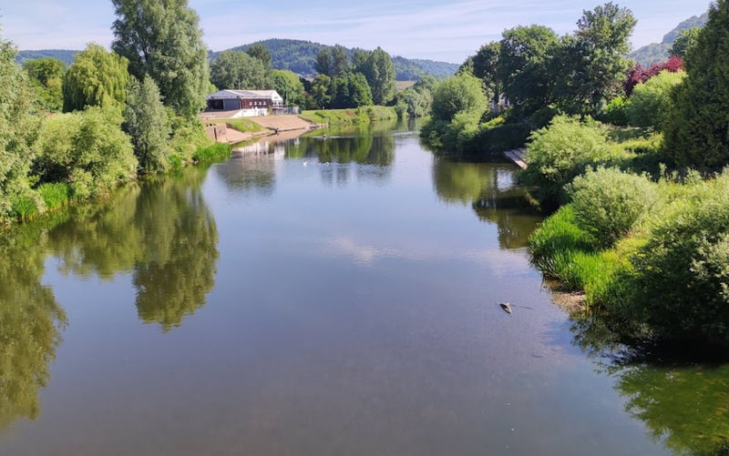 Dog Swimming Spots in Monmouthshire: Top 5 Picturesque Locations for a Splash with Your Pup - Calmshops.co.uk