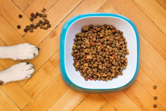 How to Save on Dog Food