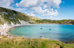 Best Dog Swimming Spots in Dorset: Top 5 Places for a Refreshing Dip with Your Dog