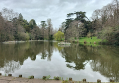 Los mejores lugares para nadar con perros en Gloucestershire: los 5 mejores lugares para una refrescante aventura con tu perro