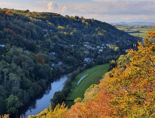 Dog Swimming Spots in Herefordshire: Top 5 Places for a Splash with Your Dog - Calmshops.co.uk