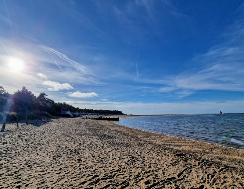 Best Dog Swimming Spots in Norfolk