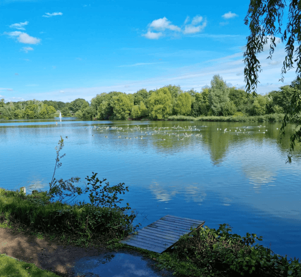 Where can i take my dog to swim  in Worcestershire: Top 5 Spots for a Refreshing Dip with Your Dog - Calmshops.co.uk