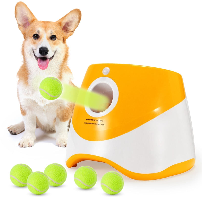 Where to Buy an Automatic Dog Ball Launcher | Top Throwers Reviewed!!! - Calmshops.co.uk