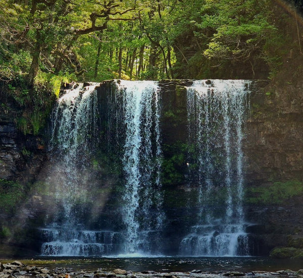 Where to take my Dog Swimming in Brecknockshire: Top 5 Scenic Locations for Water-Loving Pups - Calmshops.co.uk