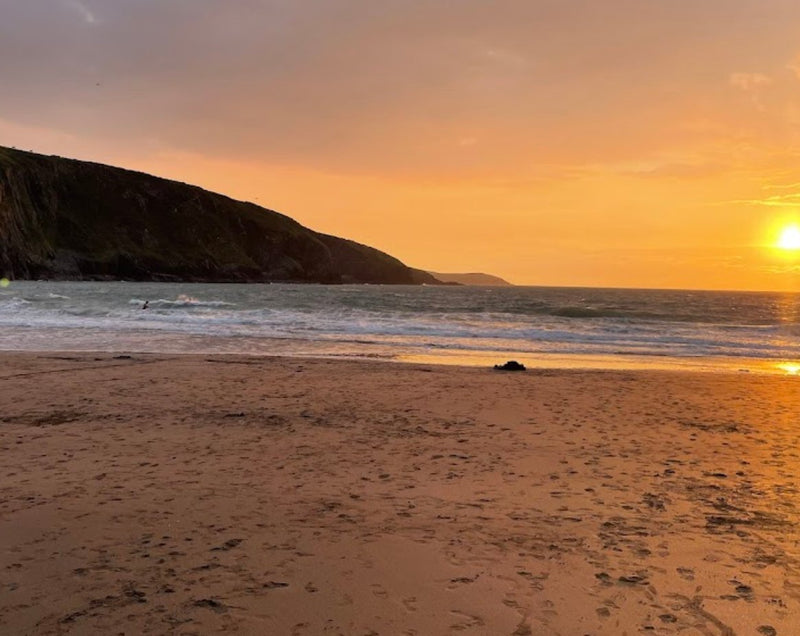 Where to take my dog to swim in Cardiganshire: Top 5 Scenic Locations - Calmshops.co.uk