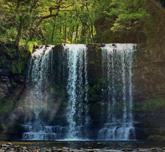 Where to take my Dog Swimming in Brecknockshire: Top 5 Scenic Locations for Water-Loving Pups