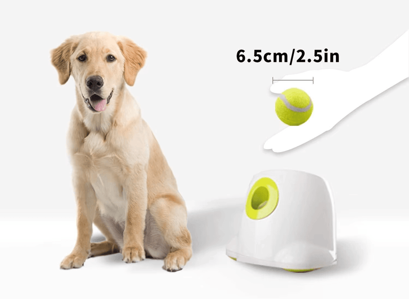 Calmshops Maxi Automatic Ball Launcher For Dogs Interactive Thrower - Calmshops.co.uk