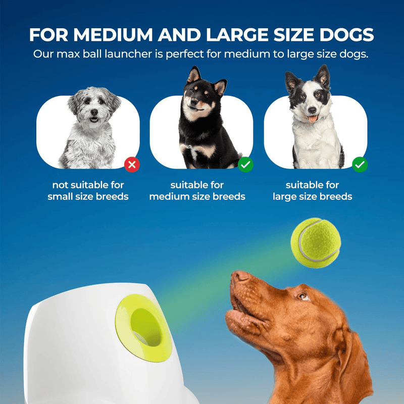 Calmshops Maxi Automatic Ball Launcher For Dogs Interactive Thrower - Calmshops.co.uk