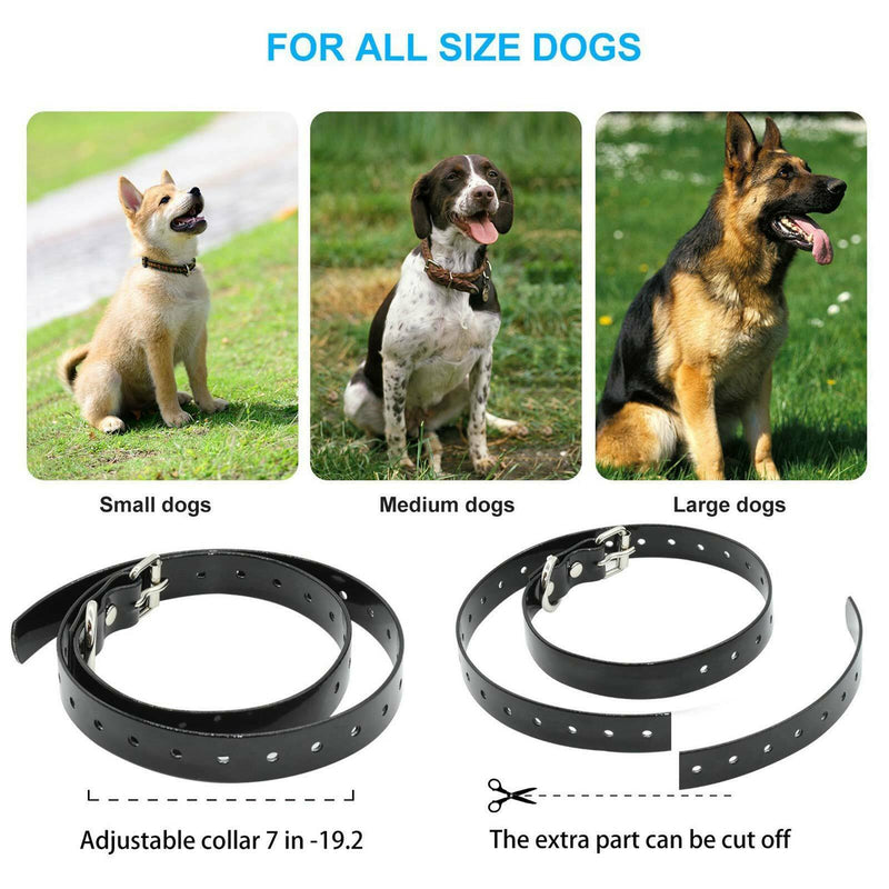 Dog Training Collar - NO SHOCK Vibrating Dog Collar With Wireless Control - Calmshops.co.uk