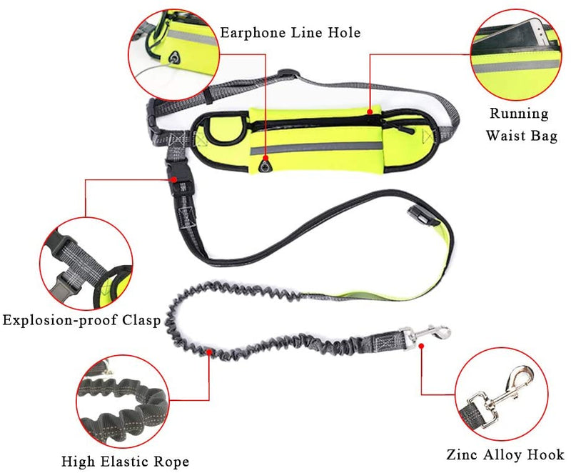 Hand Free Dog Lead Reflective Bungee Dog Lead For Running Dog Leash UK - Calmshops.co.uk