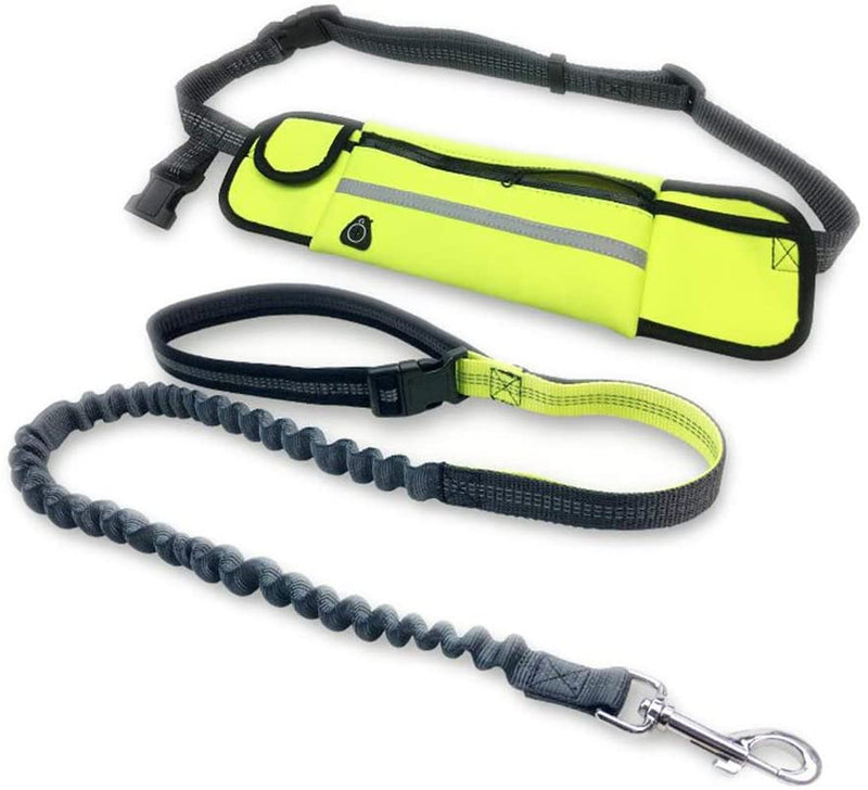 Hand Free Dog Lead Reflective Bungee Dog Lead For Running Dog Leash UK - Calmshops.co.uk