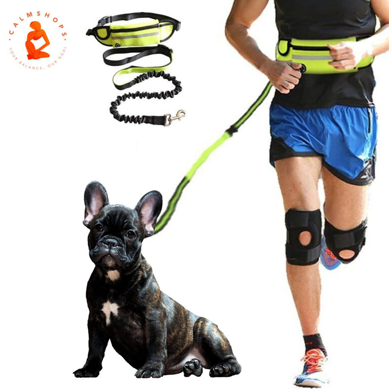 Hand Free Dog Lead Reflective Bungee Dog Lead For Running Dog Leash UK - Calmshops.co.uk