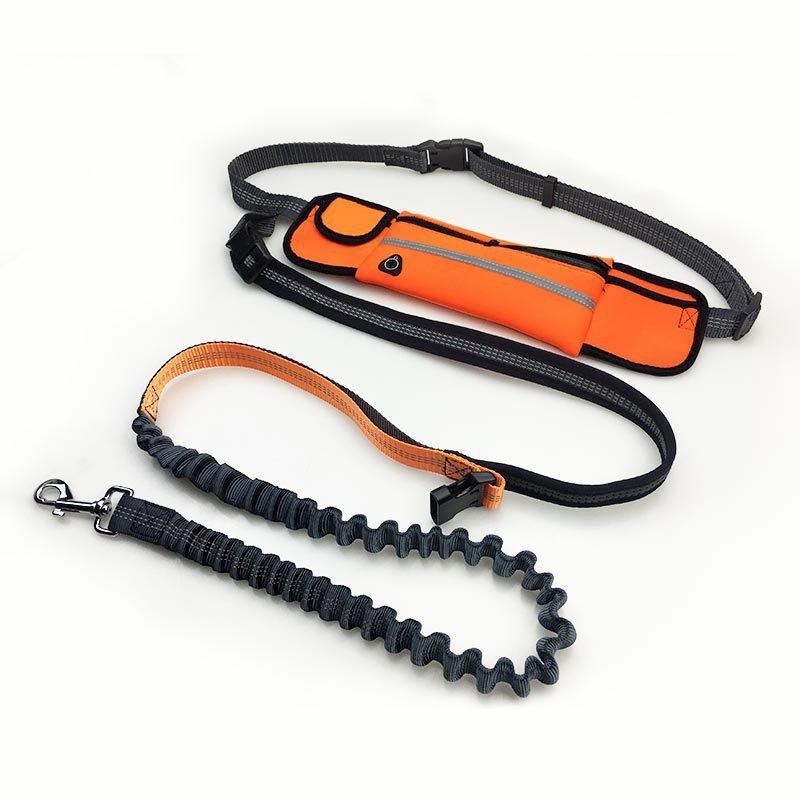 Hand Free Dog Lead Reflective Bungee Dog Lead For Running Dog Leash UK - Calmshops.co.uk