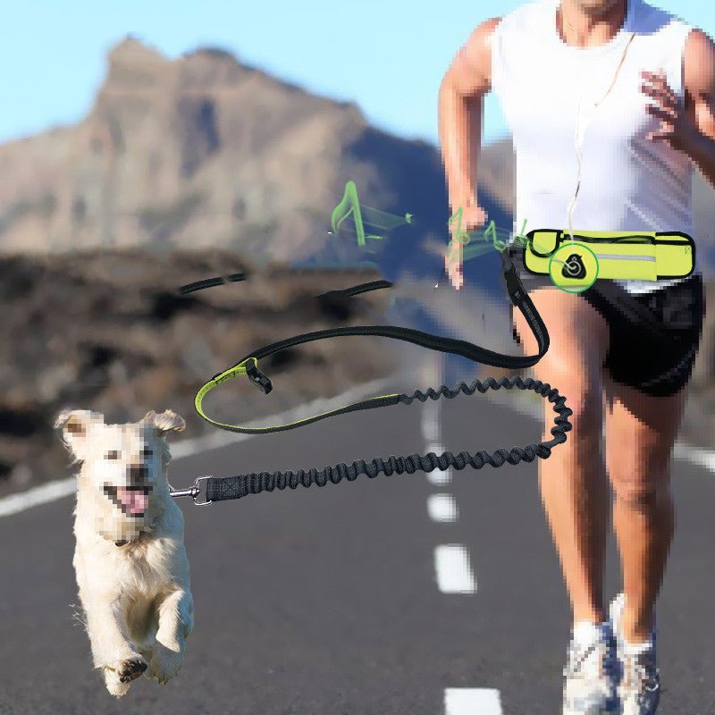 Hand Free Dog Lead Reflective Bungee Dog Lead For Running Dog Leash UK - Calmshops.co.uk