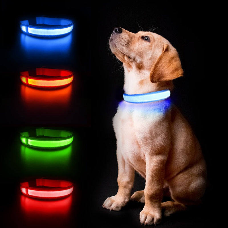 Led Light Dog Collar For Dogs, Light Up Collar for Dogs USB Rechargeable - Calmshops.co.uk