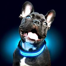 Led Light Dog Collar For Dogs, Light Up Collar for Dogs USB Rechargeable - Calmshops.co.uk