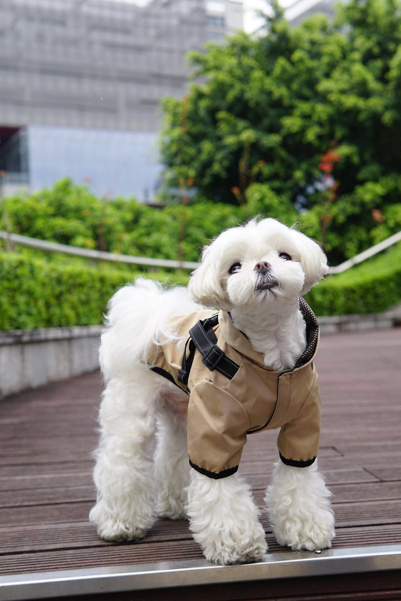 Waterproof Dog Rain Coat & Reflective Pet Vest – Durable & Stylish - Calmshops.co.uk