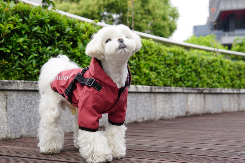 Waterproof Dog Rain Coat & Reflective Pet Vest – Durable & Stylish - Calmshops.co.uk