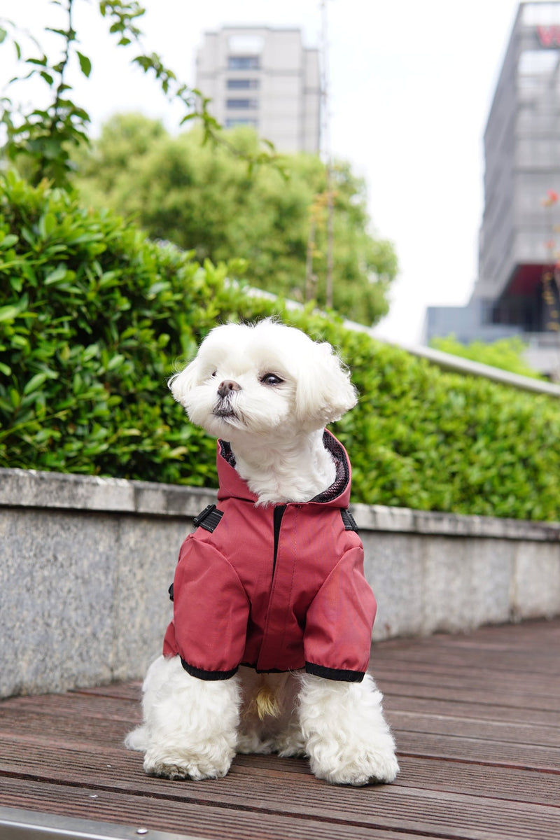 Waterproof Dog Rain Coat & Reflective Pet Vest – Durable & Stylish - Calmshops.co.uk