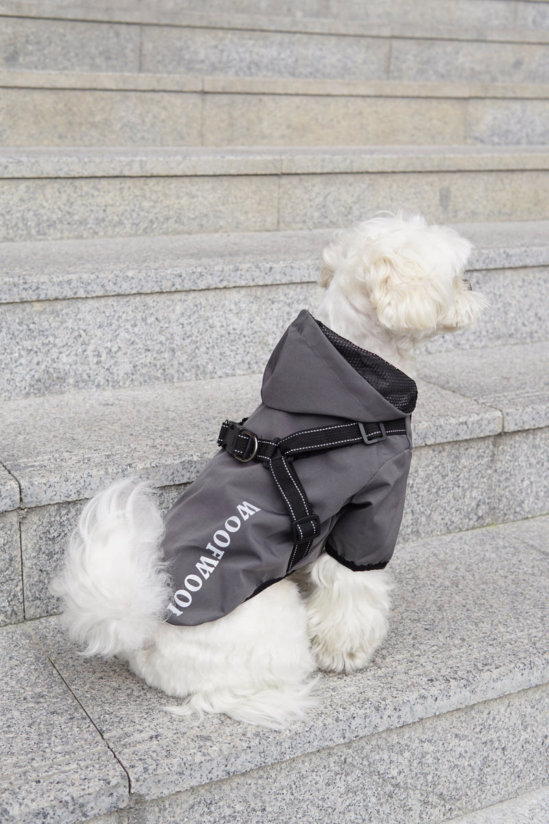 Waterproof Dog Rain Coat & Reflective Pet Vest – Durable & Stylish - Calmshops.co.uk