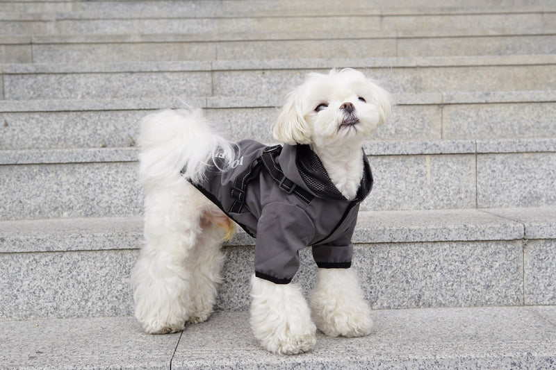 Waterproof Dog Rain Coat & Reflective Pet Vest – Durable & Stylish - Calmshops.co.uk