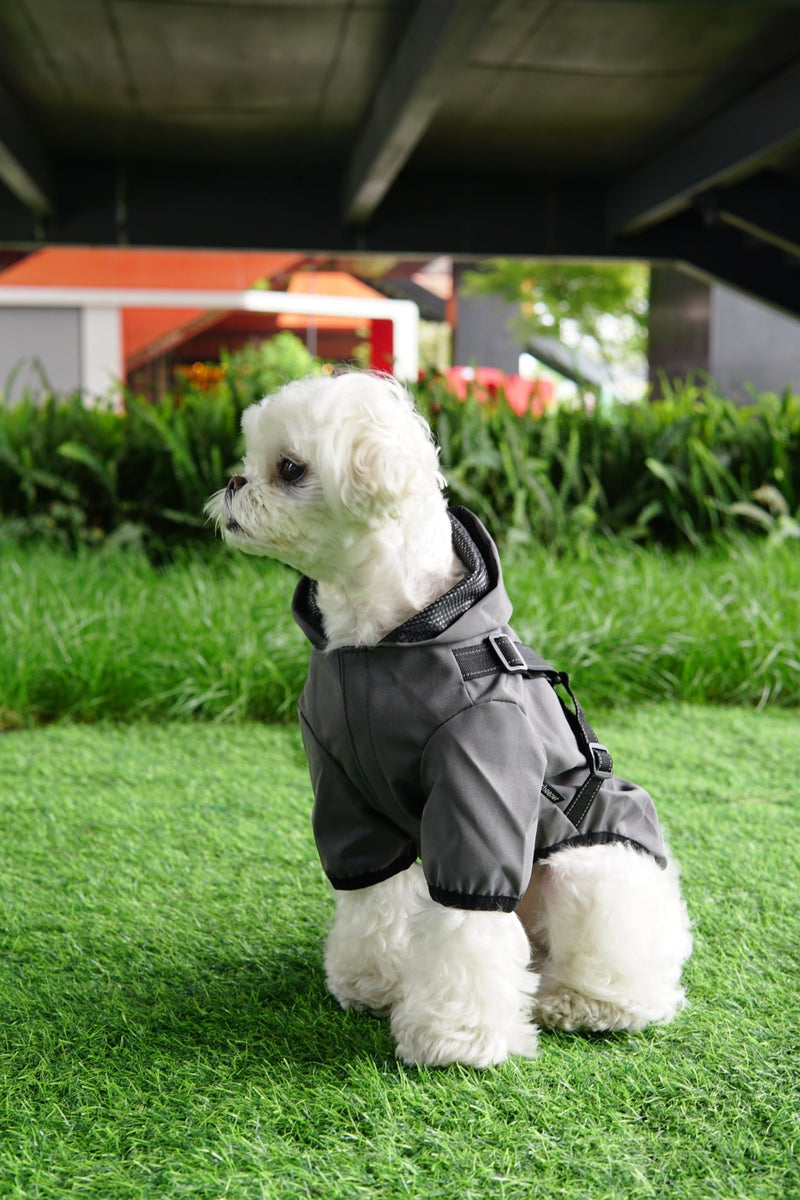 Waterproof Dog Rain Coat & Reflective Pet Vest – Durable & Stylish - Calmshops.co.uk